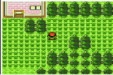 Pokemon Impossible Crystal screenshot 01