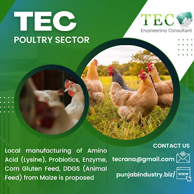 Industrial Projects: Poultry, Chemical, Pharma, Food, Environmental Solutions, Health, Packaging.  Feasibility Study available:  Corn Oil, Crystalline Glucose, Maltodextrin, Fructose Syrup, Mannitol, Sorbitol, Xylitol, Corn Gluten Feed, Amino Acid, Lysine, Threonine, Tryptophan, Methionine, Probiotics, Enzymes–Cellulase, Protease, Citric Acid, Edible Dry Yeast, Sodium GluconatE, Lactic Acid, Dextrin, Modified Starch, Isomalto-Oligosaccharide, Vinasse BioFertilizer (Potassium Fulvic Acid)