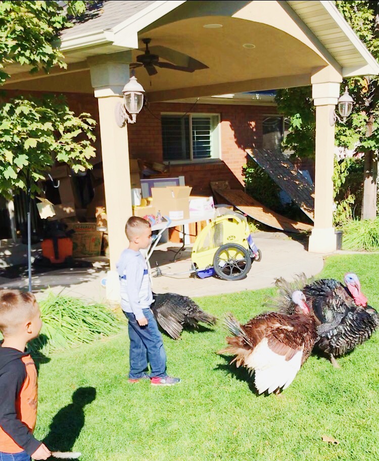 9A1D54E0 830B 4B6E B73A DEB365D11A6D