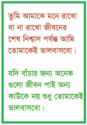 Bangla Sad Quotes