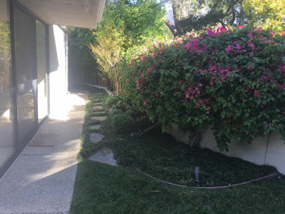 Landscaping,Gardening,Backyard,Front Yard,Clean up Services, ,Pruning Services,Shrub Care,Garden watering,Mowing Services,Blowing,Weeding,Irrigation repair,Ground Maintenance, Perenial care,Insecticide control,Synthetic Lawn Care,Landscaping maintenance,Santa Barbara,Montecito,Hope Ranch,Carpinteria,Pathway,Installation, Plant,Lawn Fertilization,Thatching, Aeration,Spring,Fall Cleanups Services,