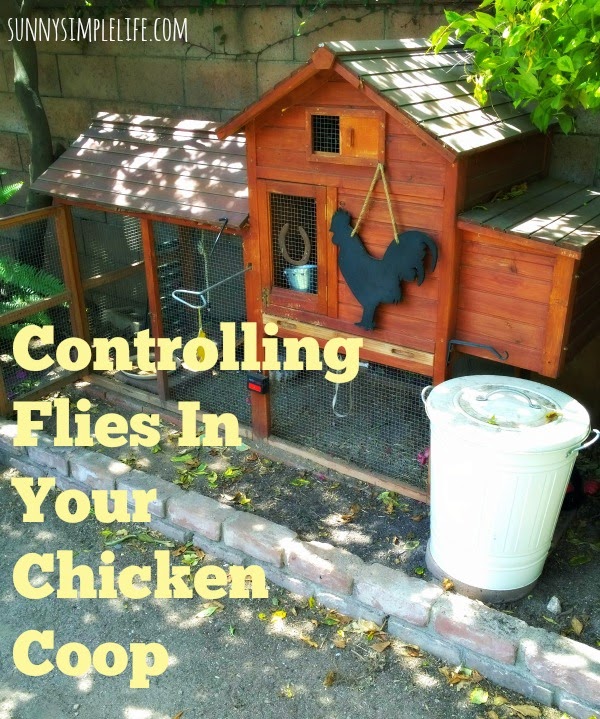 How To Control Flies In Chicken Coop – Chicken Coop plan idea