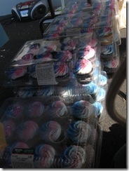 pro life cupcake day 05