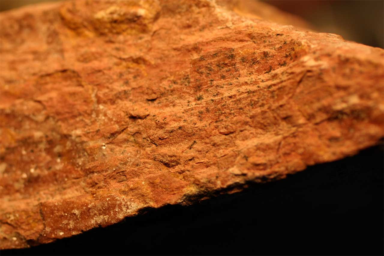 Louisville Fossils and Beyond: Dendrites - Plant Pseudofossil? Louisville Fossils and Beyond: Dendrites - Plant Pseudofossil?