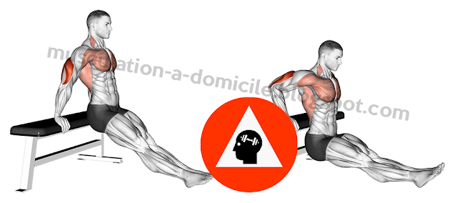 musculation exercice reverse dips