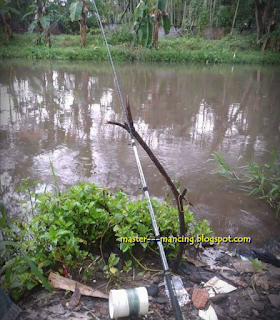 Mancing Ombyok Ikan Wader, Cara Jitu Dan Ampuh