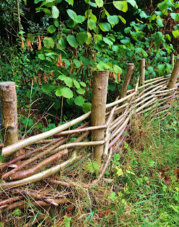 Reviving the art of willow fencing at Bru Na Boinne, County Meath, Ireland