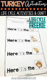 FREE turkey life cycle activities, including pocket chart sentences.  Perfect for Thanksgiving centers and turkey time!  Keep your kiddos engaged with these turkey activities, adorable turkey crafts and turkey centers!