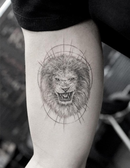 esta_nica_agulha_leo