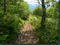 DSCN1652