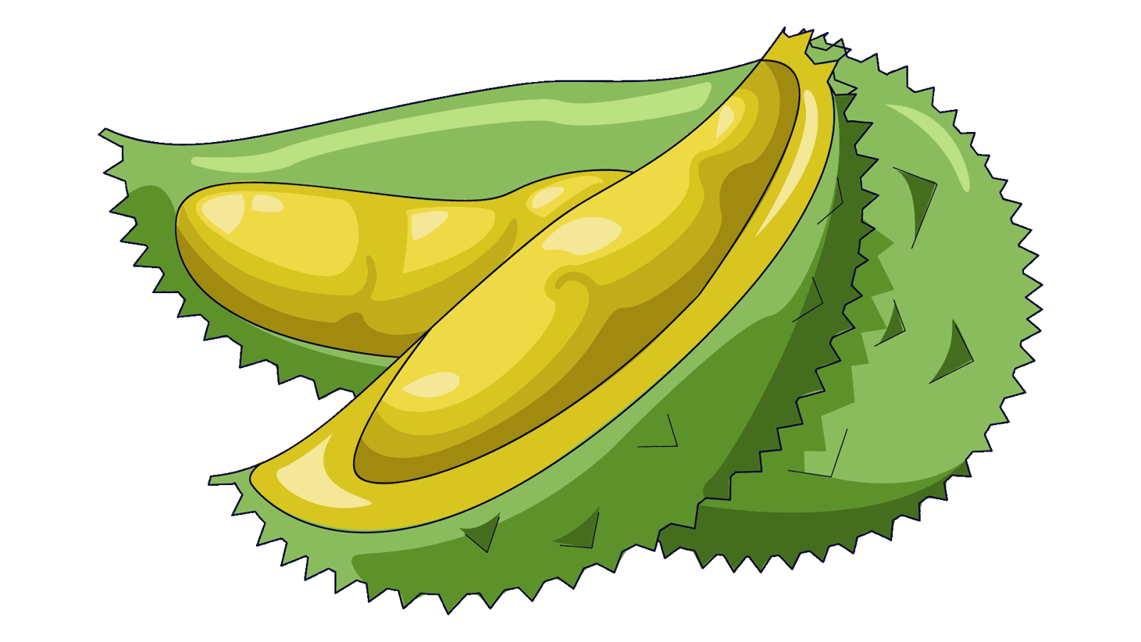 Download 12 Clipart Buah Durian Wwwbuahazcom