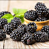 Blackberry Fruit Benefits For Health and Fitness
