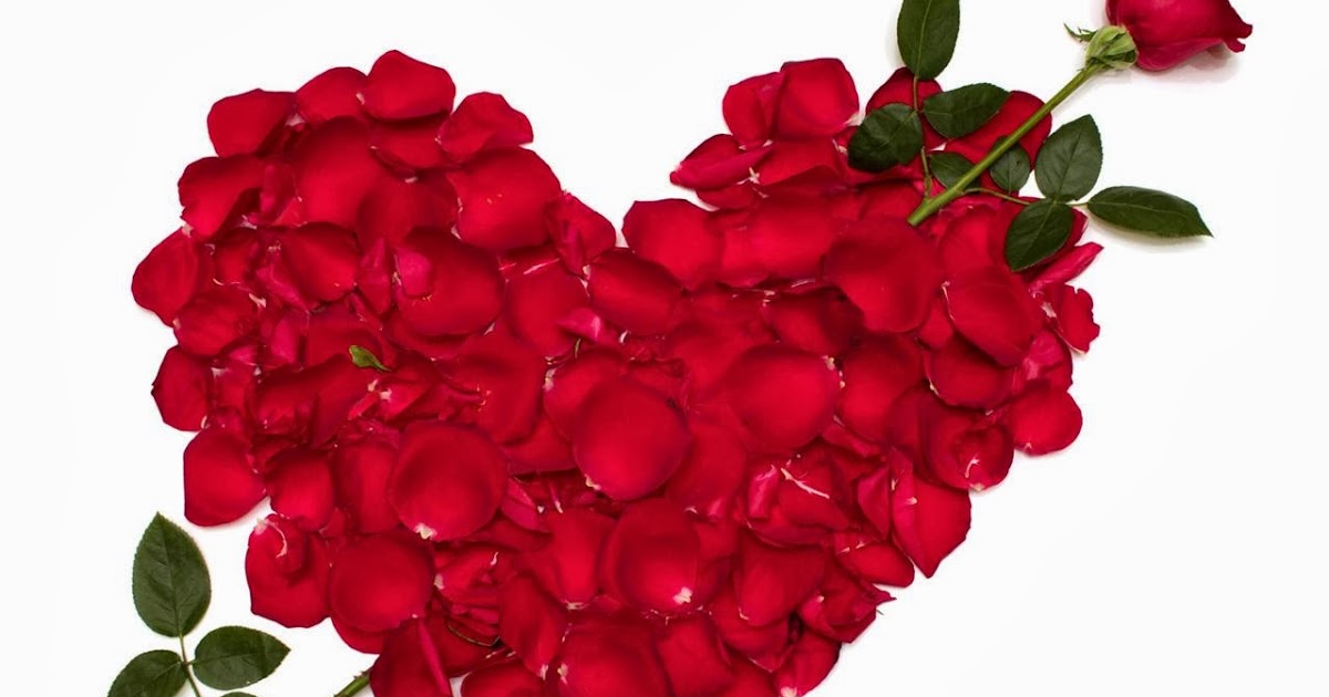 Gambar Bunga Mawar Love  Kumpulan Gambar Gambar Pilihan 