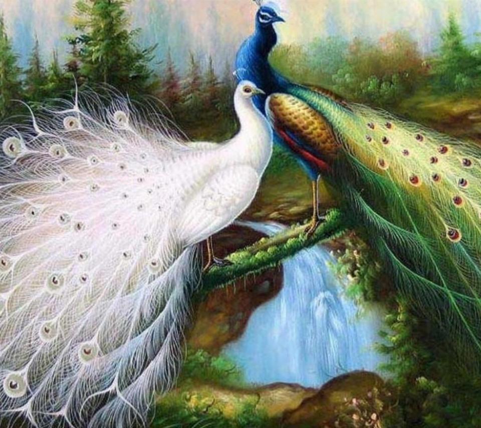 Nice Peacock images Free Download Love Images of love