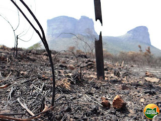 5 focos de incêndio simultâneos no Parque Nacional da Chapada Diamantina