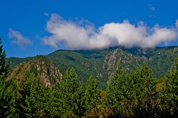 Алтай