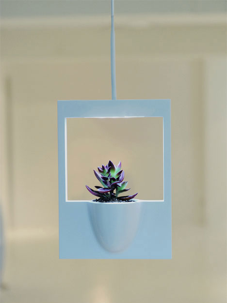 polaroid flower vase