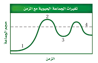 حجم الجماعة