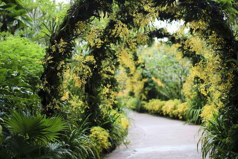 Singapore Botanical Gardens