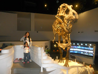Stan the T.Rex Dinosaur at The Mind Museum