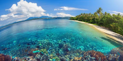 Paket Tour Wisata One Day Trip Bunaken Terbaru 2023 2024