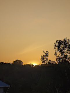 Sunrise picture