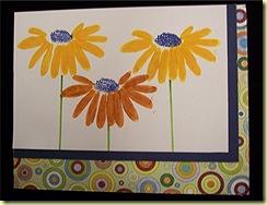 daisy