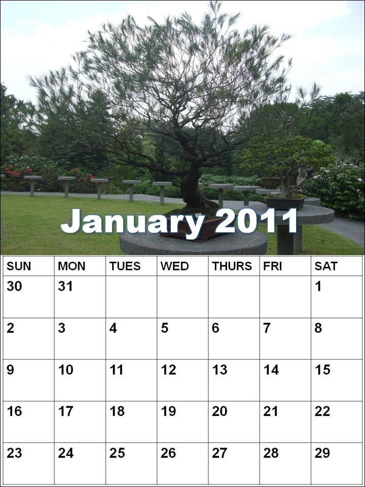 january 2011 calendar planner. blank calendar 2011 january.