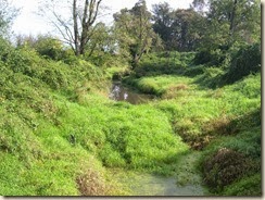 Slough weir dam