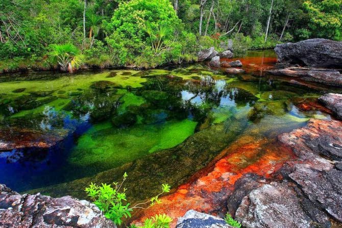 Sungai Cano Cristales