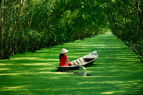 Hình ảnh đẹp nhất về làng quê Việt Nam 2013