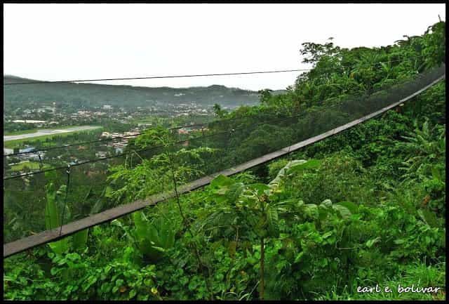 The hanging bridge