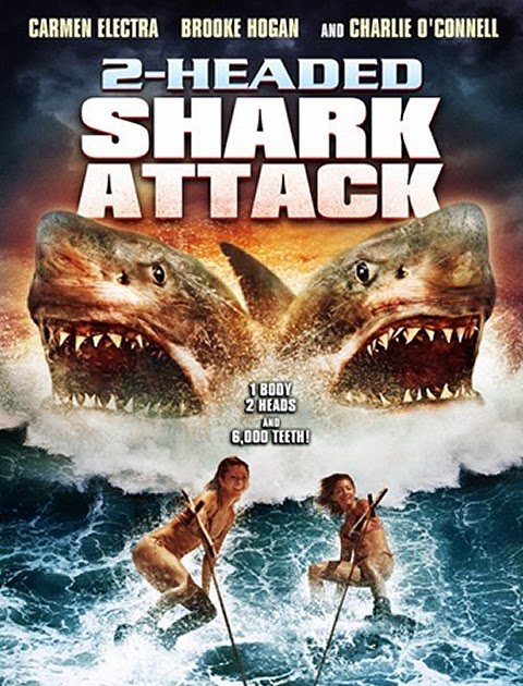2012 2-Headed Shark Attack