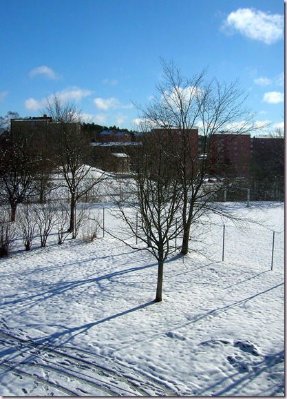 DSCN2630-1