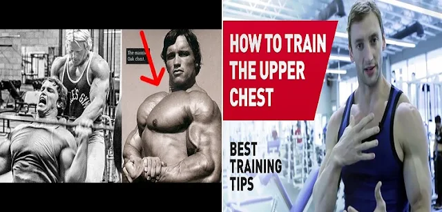 Best workout &amp; techniques to Speed up your upper-chest development