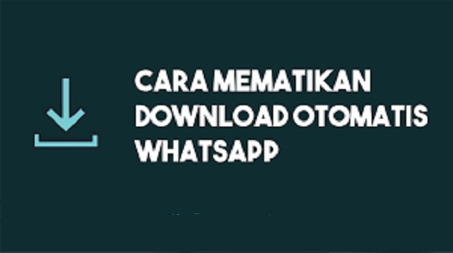 Cara Menonaktifkan Download Otomatis di Whatsapp