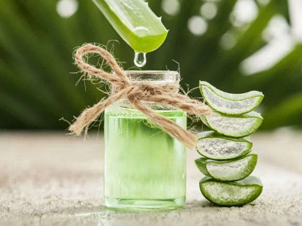 Benefits Of Aloe Vera, aloe vera uses in hindi,  aloe vera ke fayde