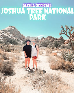 Joshua Tree National Park - Review, Ticket Prices, Opening Hours, Locations And Activities [Latest]