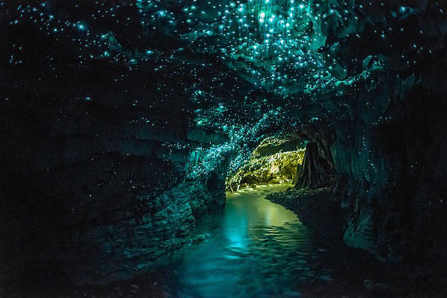 Gua Newnes, Australia