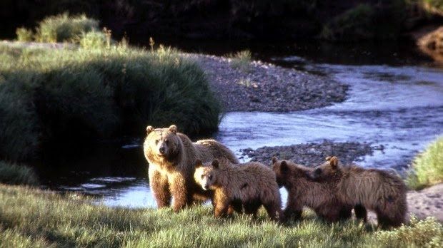 http://www.smh.com.au/world/russian-analyst-urges-nuclear-attack-on-yellowstone-national-park-and-san-andreas-fault-line-20150331-1mbl14.html