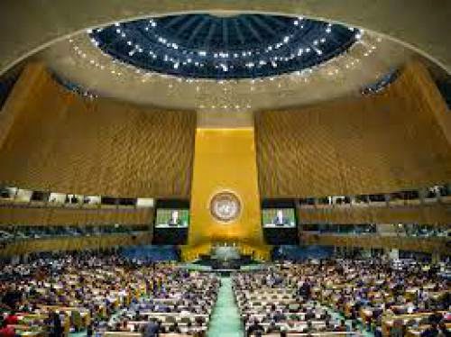 U N Climate Summit Sets Goals To Save Forests Use Clean Energy