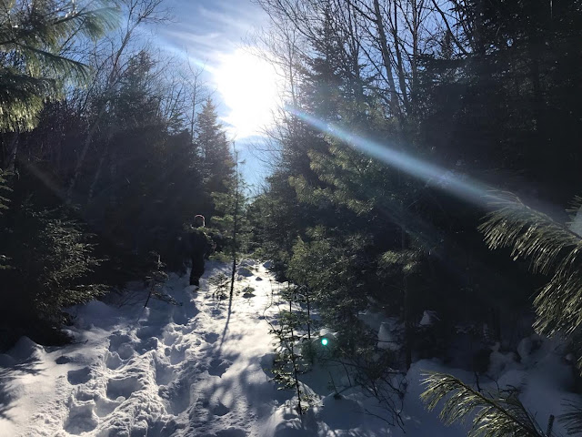 A mid December attempt to bushwhack to a back-country crag known as The Captain, deeply nestled between South Hancock, Mount Carrigain, and Sawyer River.