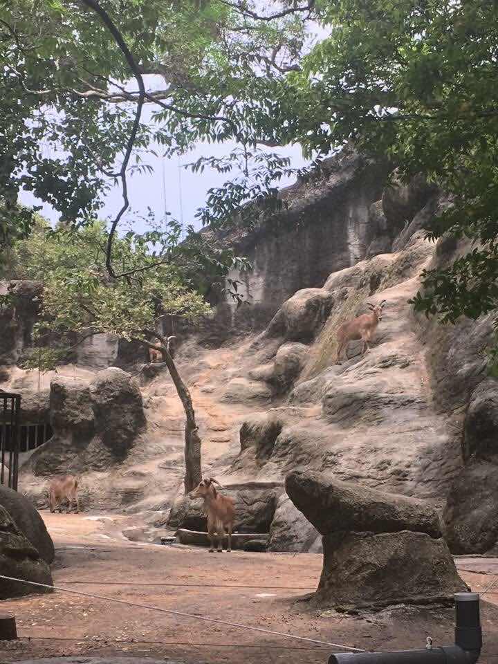 taipei zoo, taiwan, travel