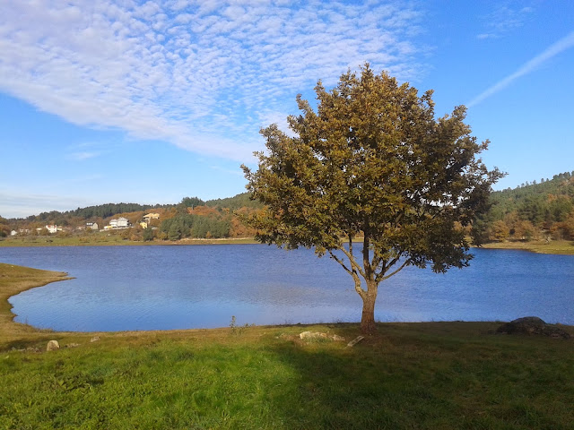 Embalse de Cachamuíña en Pereiro de Aguiar