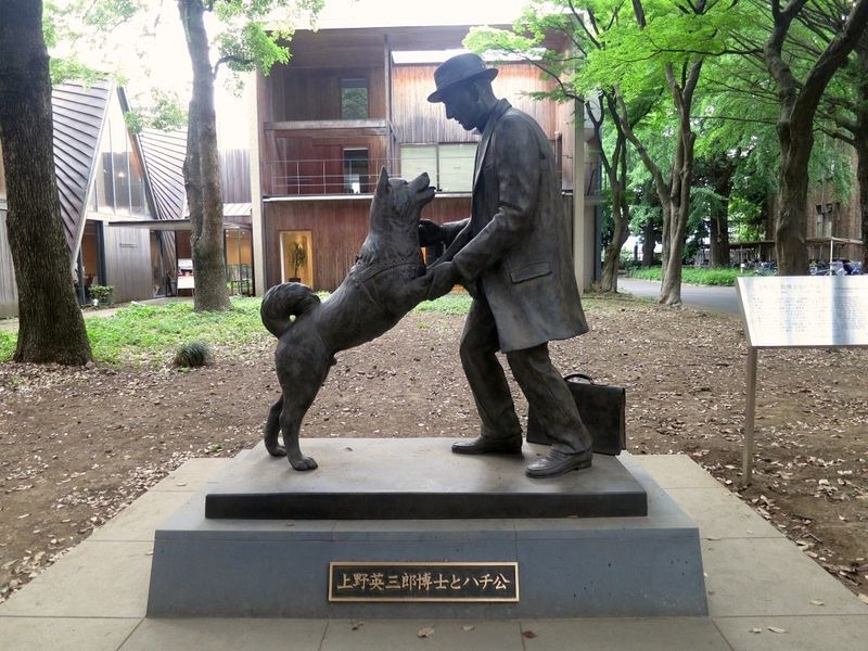 hachiko-1
