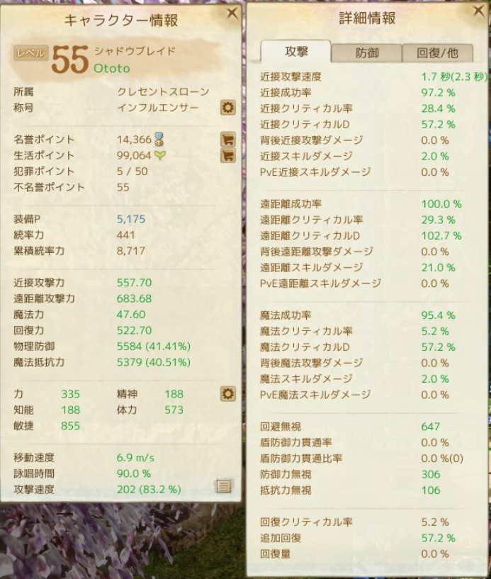 のんびりアーキエイジ 装備作りについて その7 クレセントストーンをはめてみよう のんびりアーキエイジ 装備作りについて その7 クレセントストーンをはめてみよう