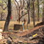View album