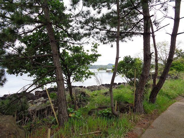 弁天島（波入港親水公園）