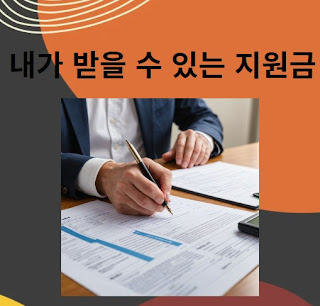 국가 지원금