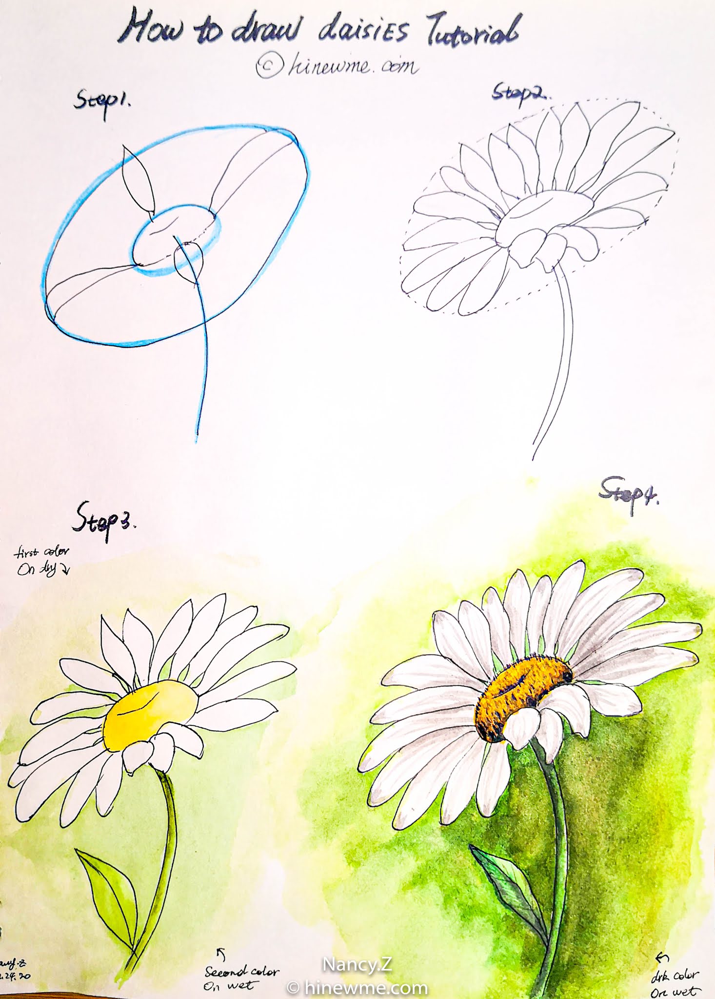 How to draw a watercolor daisy flower tutorial step by step easy for beginner